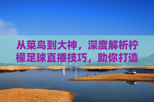 从菜鸟到大神,深度解析柠檬足球直播技巧,助你打造人气直播间
