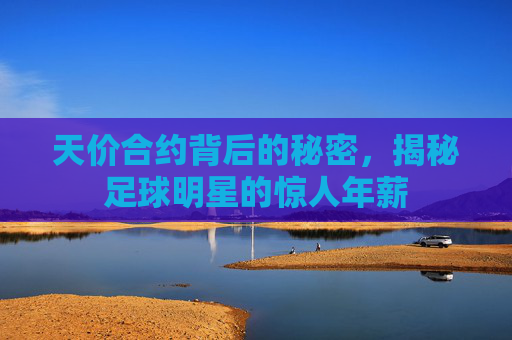 天价合约背后的秘密,揭秘足球明星的惊人年薪