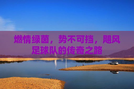 燃情绿茵,势不可挡,飓风足球队的传奇之路