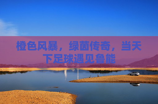 橙色风暴,绿茵传奇,当天下足球遇见鲁能