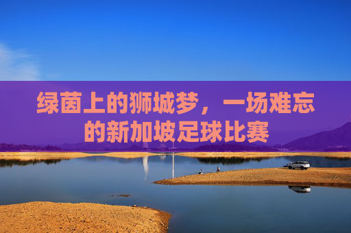 绿茵上的狮城梦,一场难忘的新加坡足球比赛
