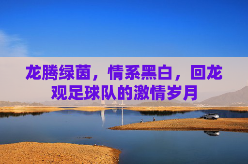 龙腾绿茵,情系黑白,回龙观足球队的激情岁月