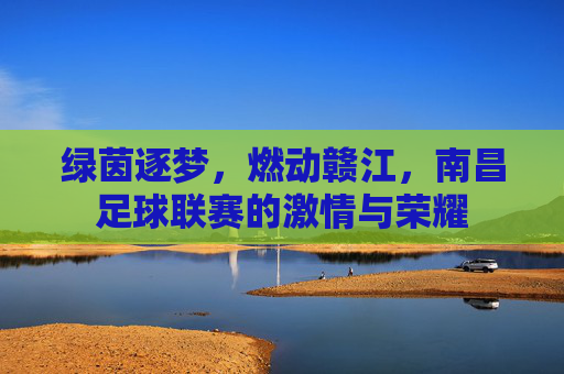 绿茵逐梦,燃动赣江,南昌足球联赛的激情与荣耀