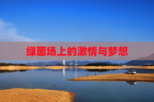绿茵场上的激情与梦想
