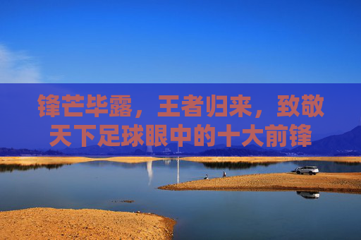 锋芒毕露,王者归来,致敬天下足球眼中的十大前锋