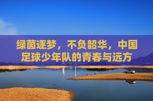 绿茵逐梦,不负韶华,中国足球少年队的青春与远方
