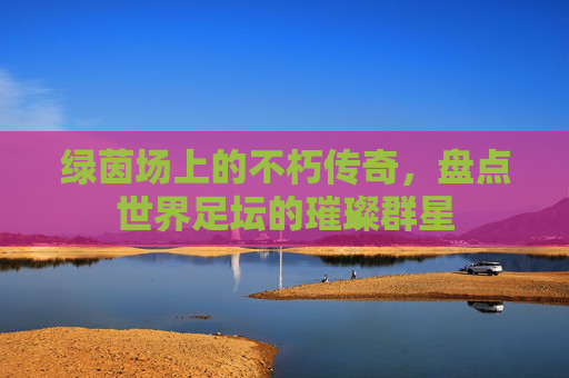 绿茵场上的不朽传奇，盘点世界足坛的璀璨群星