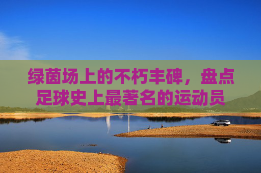 绿茵场上的不朽丰碑,盘点足球史上最著名的运动员