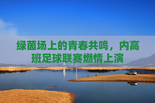 绿茵场上的青春共鸣,内高班足球联赛燃情上演