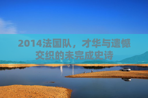 2014法国队,才华与遗憾交织的未完成史诗