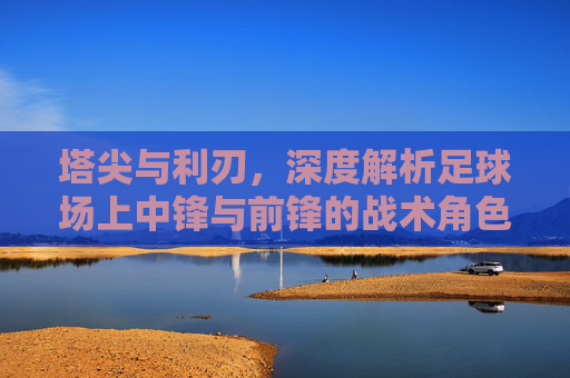 塔尖与利刃,深度解析足球场上中锋与前锋的战术角色与演变