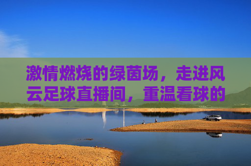 激情燃烧的绿茵场,走进风云足球直播间,重温看球的极致快感