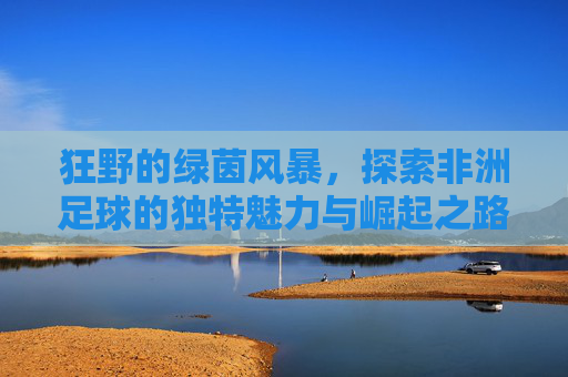 狂野的绿茵风暴,探索非洲足球的独特魅力与崛起之路