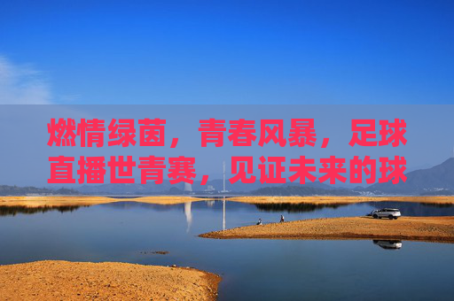 燃情绿茵,青春风暴,足球直播世青赛,见证未来的球王