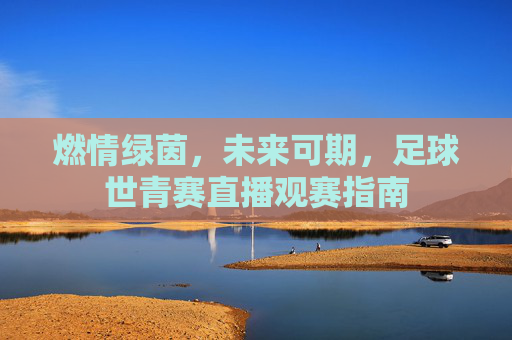 燃情绿茵,未来可期,足球世青赛直播观赛指南