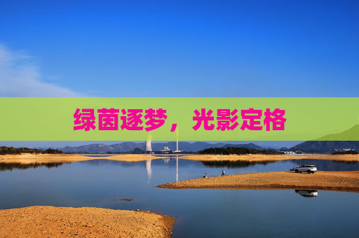 绿茵逐梦,光影定格