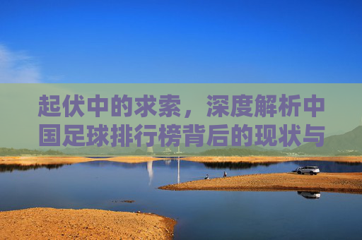 起伏中的求索，深度解析中国足球排行榜背后的现状与未来