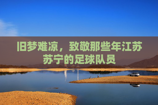 旧梦难凉,致敬那些年江苏苏宁的足球队员