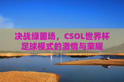 决战绿茵场,CSOL世界杯足球模式的激情与荣耀