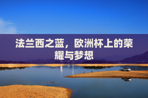 法兰西之蓝，欧洲杯上的荣耀与梦想
