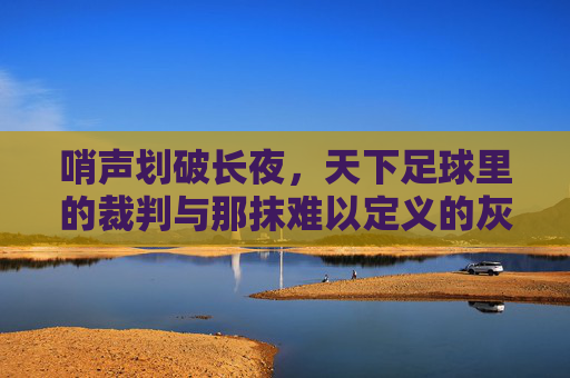 哨声划破长夜，天下足球里的裁判与那抹难以定义的灰色