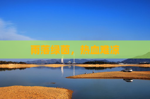雨落绿茵,热血难凉