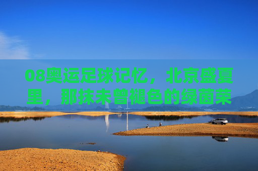 08奥运足球记忆，北京盛夏里，那抹未曾褪色的绿茵荣光