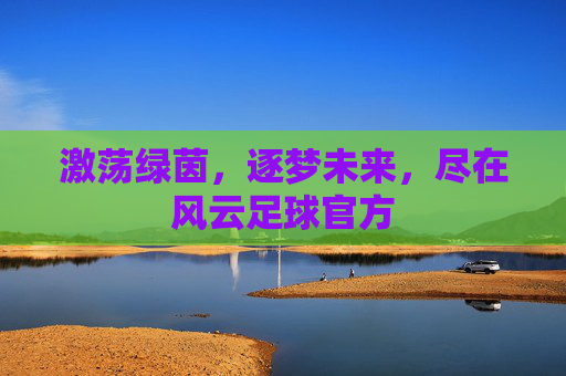 激荡绿茵,逐梦未来,尽在风云足球官方