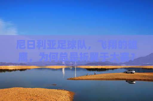 尼日利亚足球队，飞翔的雄鹰，为何总是折翼于大赛？