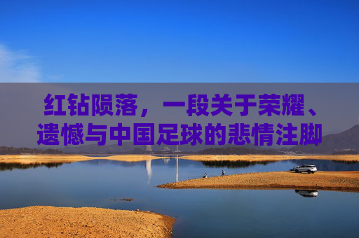 红钻陨落,一段关于荣耀、遗憾与中国足球的悲情注脚