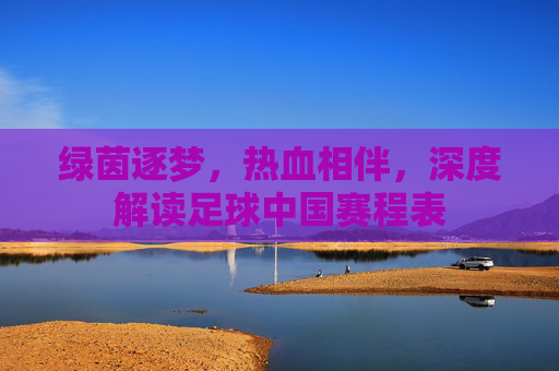 绿茵逐梦,热血相伴,深度解读足球中国赛程表