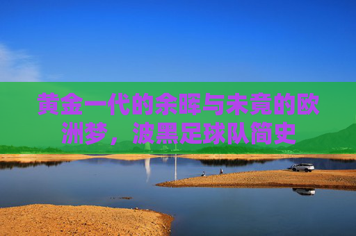 黄金一代的余晖与未竟的欧洲梦,波黑足球队简史
