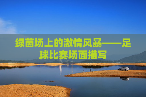 绿茵场上的激情风暴——足球比赛场面描写