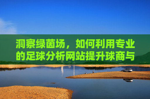洞察绿茵场,如何利用专业的足球分析网站提升球商与决策力
