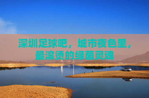 深圳足球吧,城市夜色里,最滚烫的绿茵灵魂