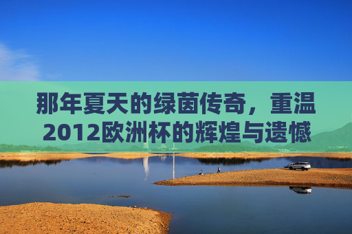 那年夏天的绿茵传奇,重温2012欧洲杯的辉煌与遗憾