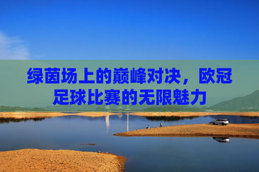 绿茵场上的巅峰对决,欧冠足球比赛的无限魅力
