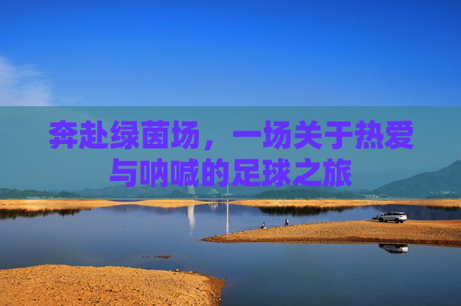 奔赴绿茵场,一场关于热爱与呐喊的足球之旅