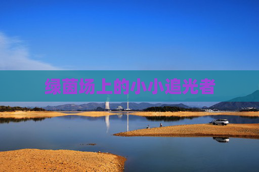 绿茵场上的小小追光者