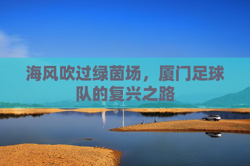 海风吹过绿茵场,厦门足球队的复兴之路