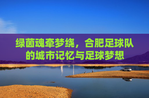 绿茵魂牵梦绕，合肥足球队的城市记忆与足球梦想