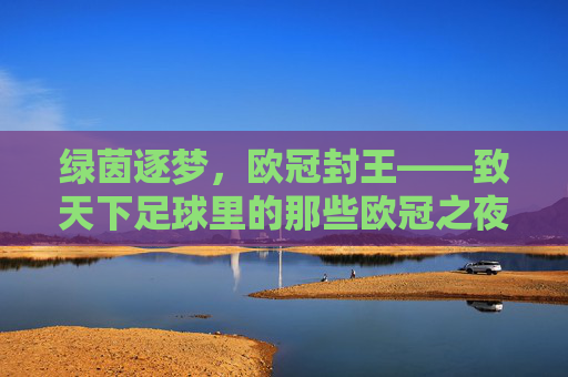 绿茵逐梦,欧冠封王——致天下足球里的那些欧冠之夜
