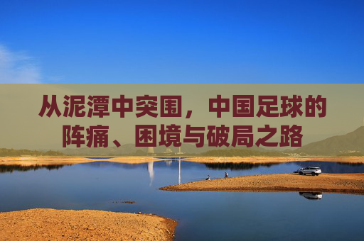 从泥潭中突围，中国足球的阵痛、困境与破局之路