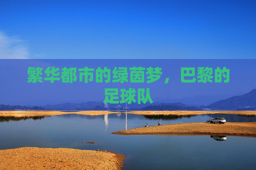 繁华都市的绿茵梦,巴黎的足球队