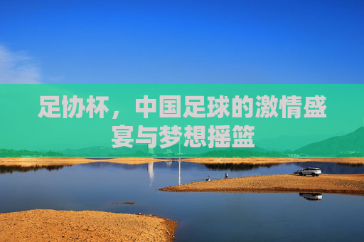 足协杯,中国足球的激情盛宴与梦想摇篮