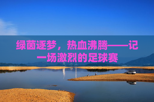 绿茵逐梦,热血沸腾——记一场激烈的足球赛