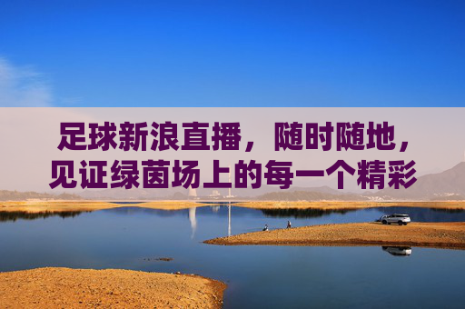 足球新浪直播，随时随地，见证绿茵场上的每一个精彩瞬间