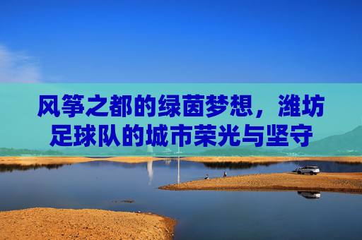 风筝之都的绿茵梦想,潍坊足球队的城市荣光与坚守
