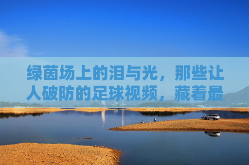 绿茵场上的泪与光,那些让人破防的足球视频,藏着最纯粹的热爱
