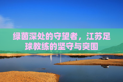 绿茵深处的守望者,江苏足球教练的坚守与突围